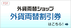 �O�ݗ��֊������͂�����iPDF�t�@�C���j