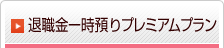 �ސE���ꎞ�a��v���~�A���v����