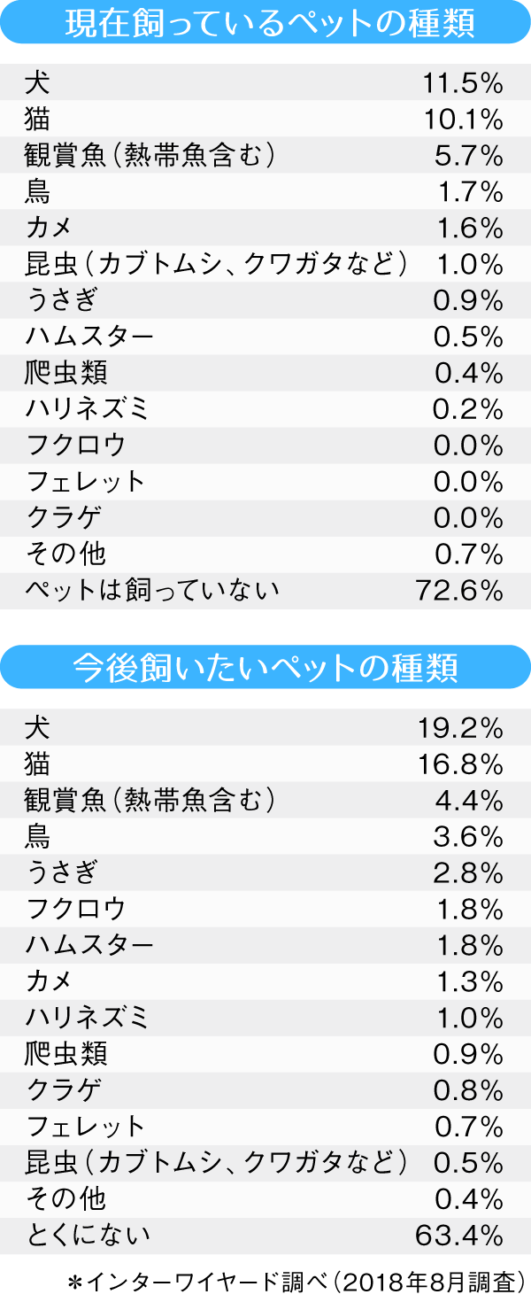 初心者にオススメ かわいくて飼いやすいペットとは 池田泉州銀行