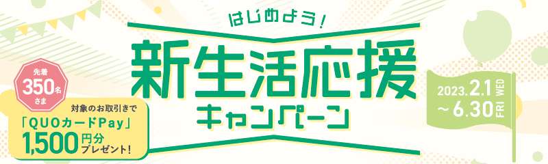 ͂߂悤IVLy[