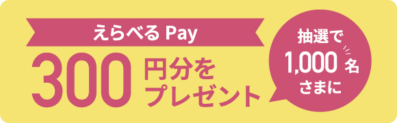 ׂPay 300~v[g