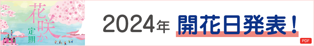 ԍ炩 2024N Jԓ\I