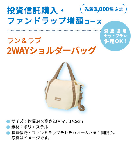 ���������u2WAY�V�����_�[�o�b�O