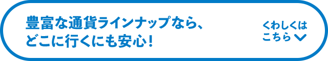 LxȒʉ݃CibvȂA ǂɍsɂSI 킵͂